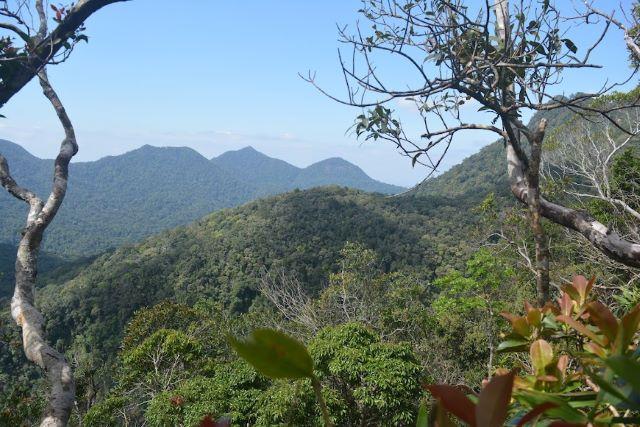 Chinh phục các đỉnh núi ở Vườn quốc gia Chư Mom Ray - ảnh sưu tầm