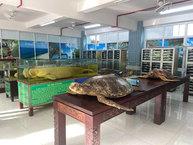 Bảo tàng Côn Đảo - Ảnh sưu tầm