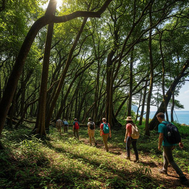 Khám phá hệ thống rừng nguyên sinh và trekking ở VQG Côn Đảo