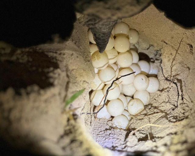 Thời điểm lý tưởng nhất để khám phá Vườn Quốc Gia Côn Đảo là từ tháng 5 đến tháng 10 - Ảnh sưu tầm