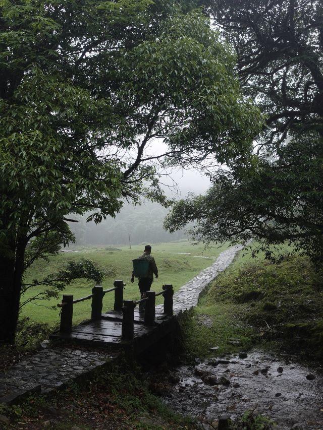 Đi bộ khám phá rừng nguyên sinh trong hệ thống VQG Hoàng Liên - Ảnh từ Tuấn Anh Cao
