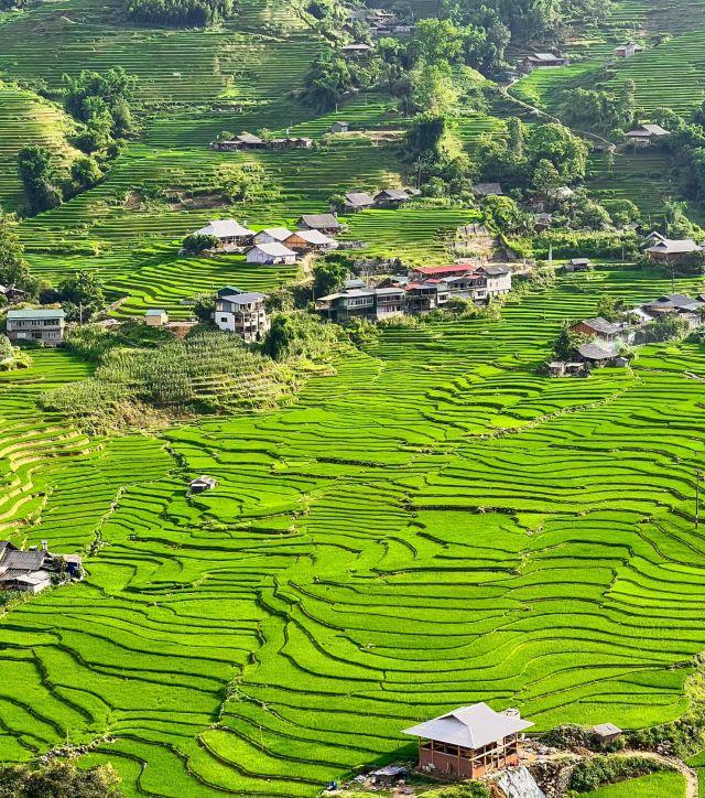 Khám phá các bản làng gần VQG Hoàng Liên - Ảnh từ Nguyễn Minh Đức