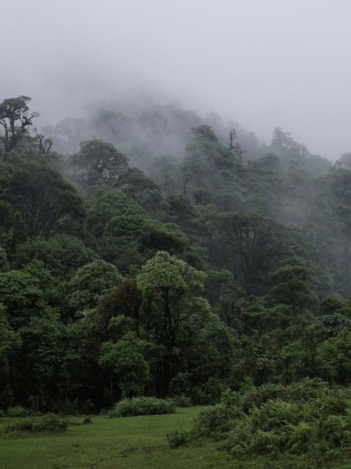 Vườn quốc gia Hoàng Liên: Khám phá khu vườn sinh thái đầy thơ mộng ở Tây Bắc