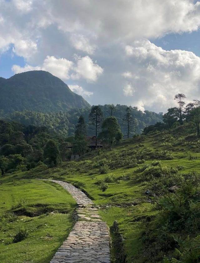 Vườn quốc gia Hoàng Liên, một nơi mà nắng đẹp theo kiểu nắng, mưa đẹp theo kiểu mưa - Ảnh từ Hạ Nguyễn