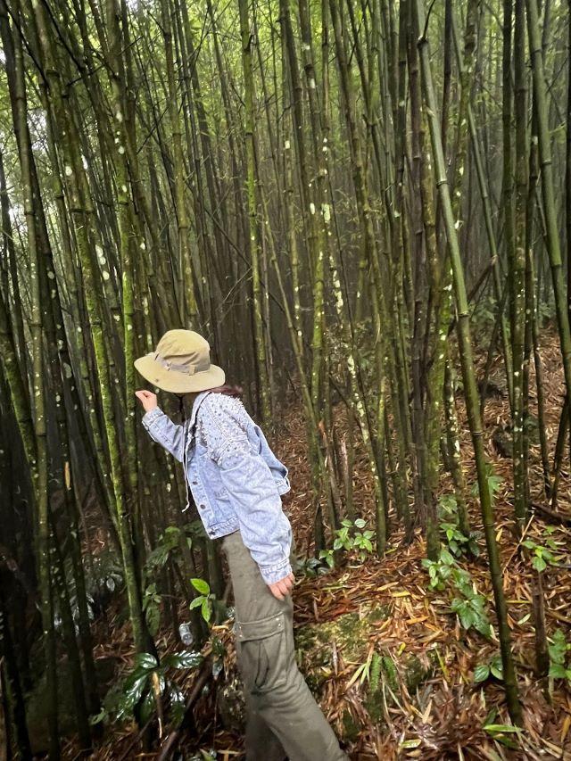 Checking khám phá các đỉnh núi ở VQG Tam Đảo - Ảnh sưu tầm