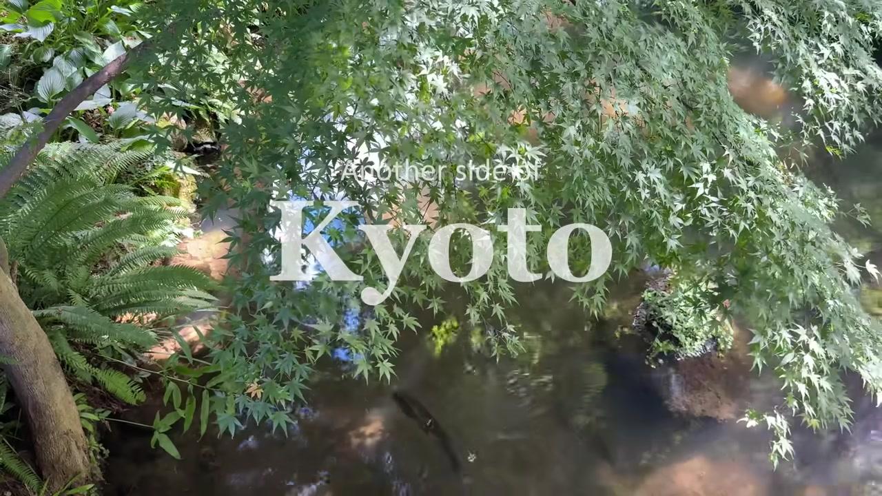 Khám Phá Kyoto Bí Ẩn: Hành Trình Đến Vùng Quê Ohara, Miyama Và Làng Yokai