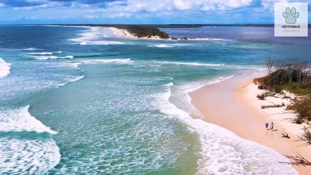 Khám Phá Daintree: Khu Rừng Mưa Cổ Đại Và Thế Giới Hoang Dã Phi Thường Ở Australia