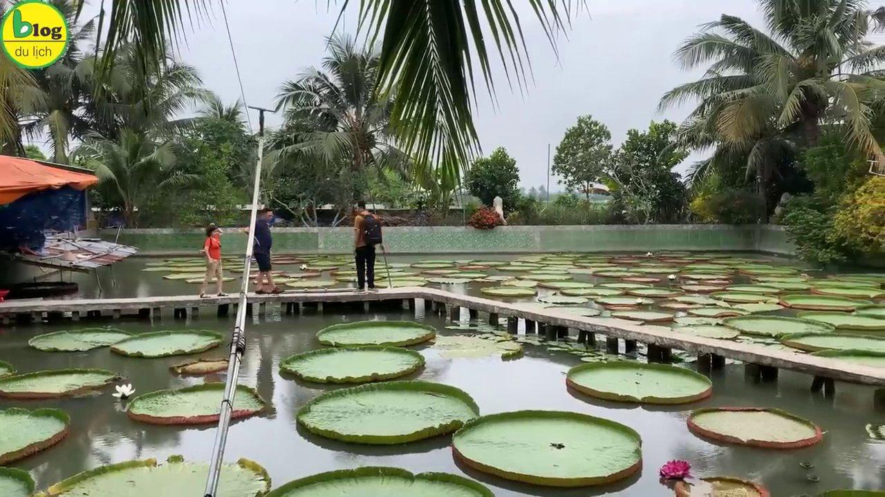 Toàn cảnh miền Tây sông nước với những con kênh xanh mát và vườn cây trái xum xuê.