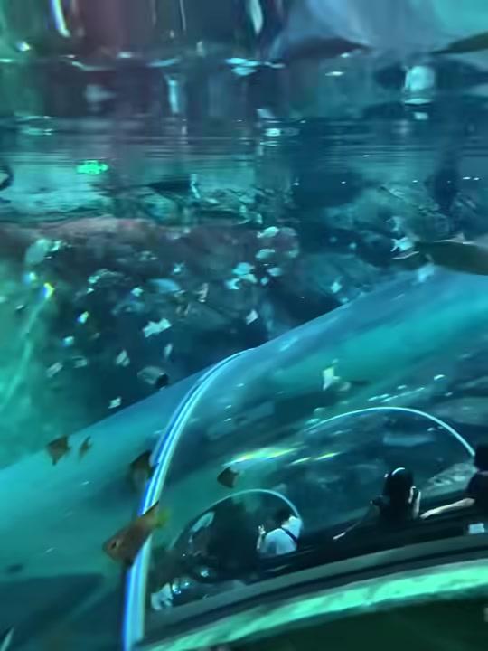 Bức tường đá tự nhiên khổng lồ được chiếu sáng tinh tế, tạo cảm giác như bước vào một hang động biển bí ẩn.