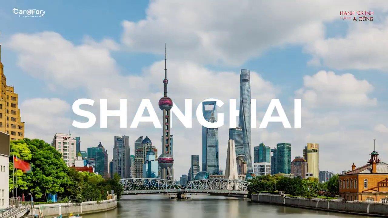 Chuyến Đi Định Mệnh Cùng Công Ty Kế 4 Việt Nam: Khi Giấc Mơ Thành Sự Thật
