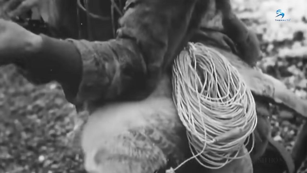 Những Linh Hồn Của Băng Giá: Hành Trình Khám Phá Thế Giới Tâm Linh Và Sự Sinh Tồn Phi Thường Của Các Bộ Tộc Bắc Cực