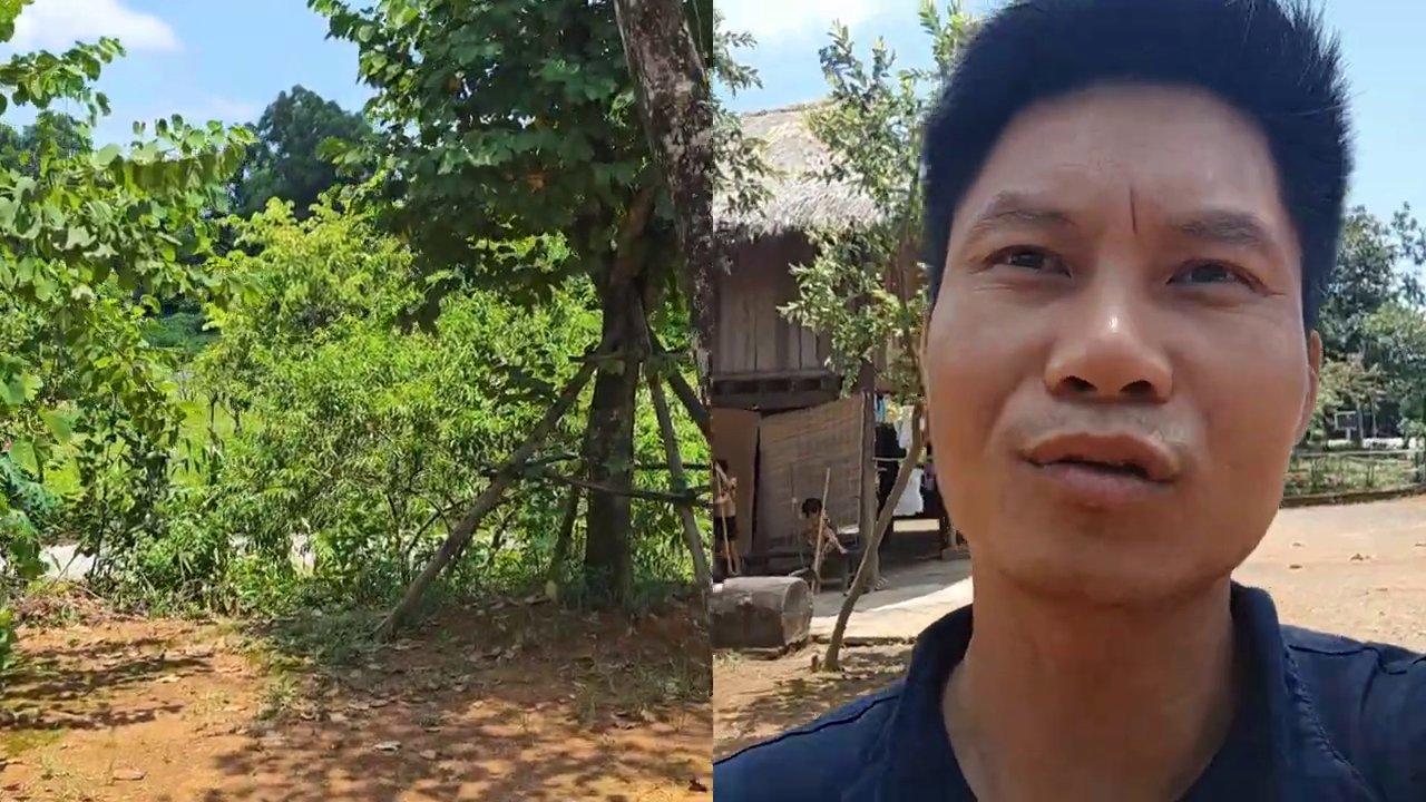 Khám Phá Làng Cổ Đường Lâm: Hành Trình Thưởng Ngoạn Kiến Trúc Cổ Và Ẩm Thực Gà Nướng Đặc Sắc