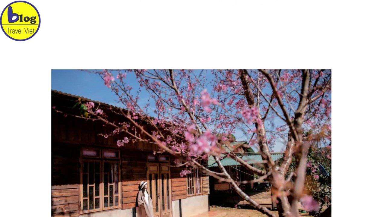 Con rồng dài 49m được khảm từ 12.000 chai lọ, lung linh dưới ánh nắng tại chùa Linh Phước.