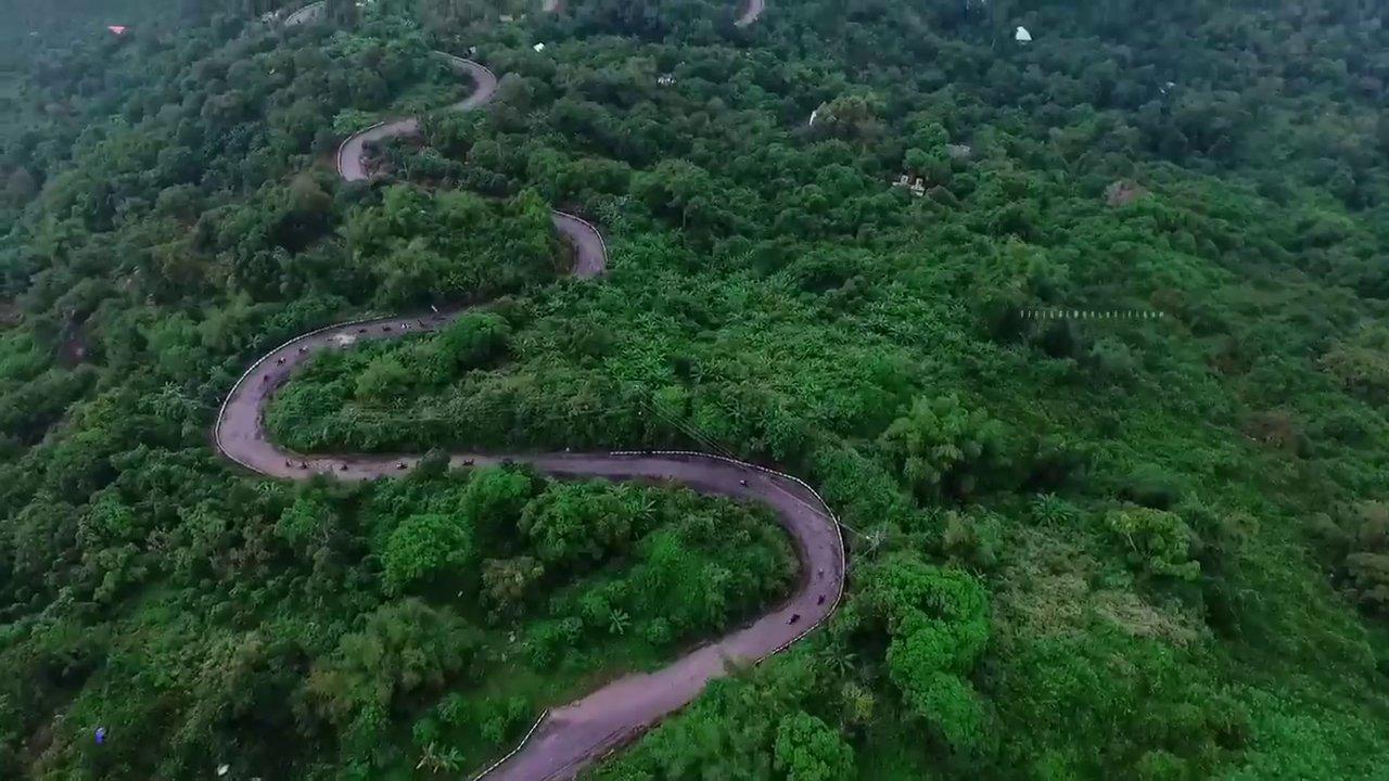 Cảnh quay từ trên cao của một khu rừng với hàng trăm con cò trắng đang đậu và bay lượn, tạo nên bức tranh thiên nhiên sống động.