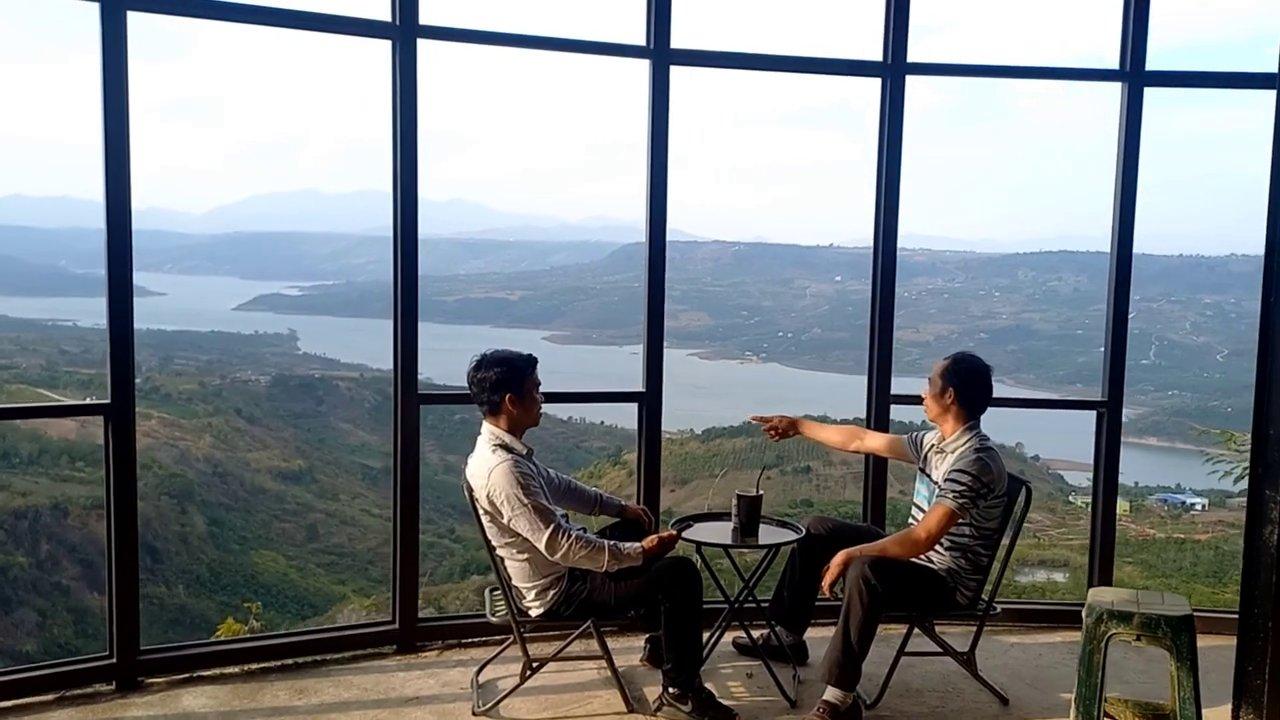 Hàng cây dương sĩ được trồng hai bên lối đi, tạo nên một lối vào xanh mát và ấn tượng.