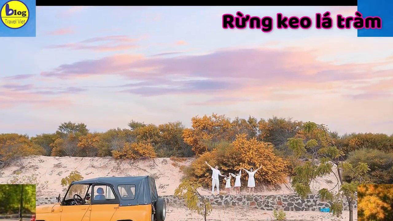 Không gian bên trong lâu đài với những dãy thùng gỗ sồi chứa rượu vang.