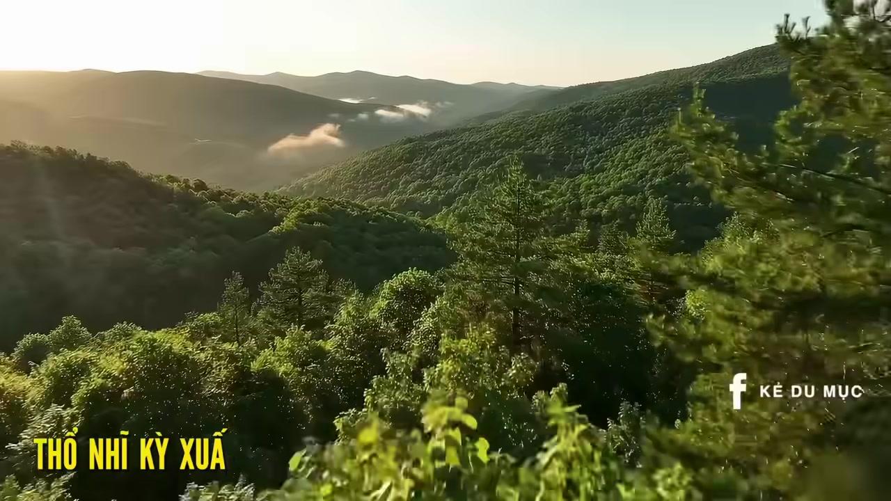 Một ly nước ép lựu nguyên chất, không đường, được ép trực tiếp từ những trái lựu tươi ngon của địa phương.