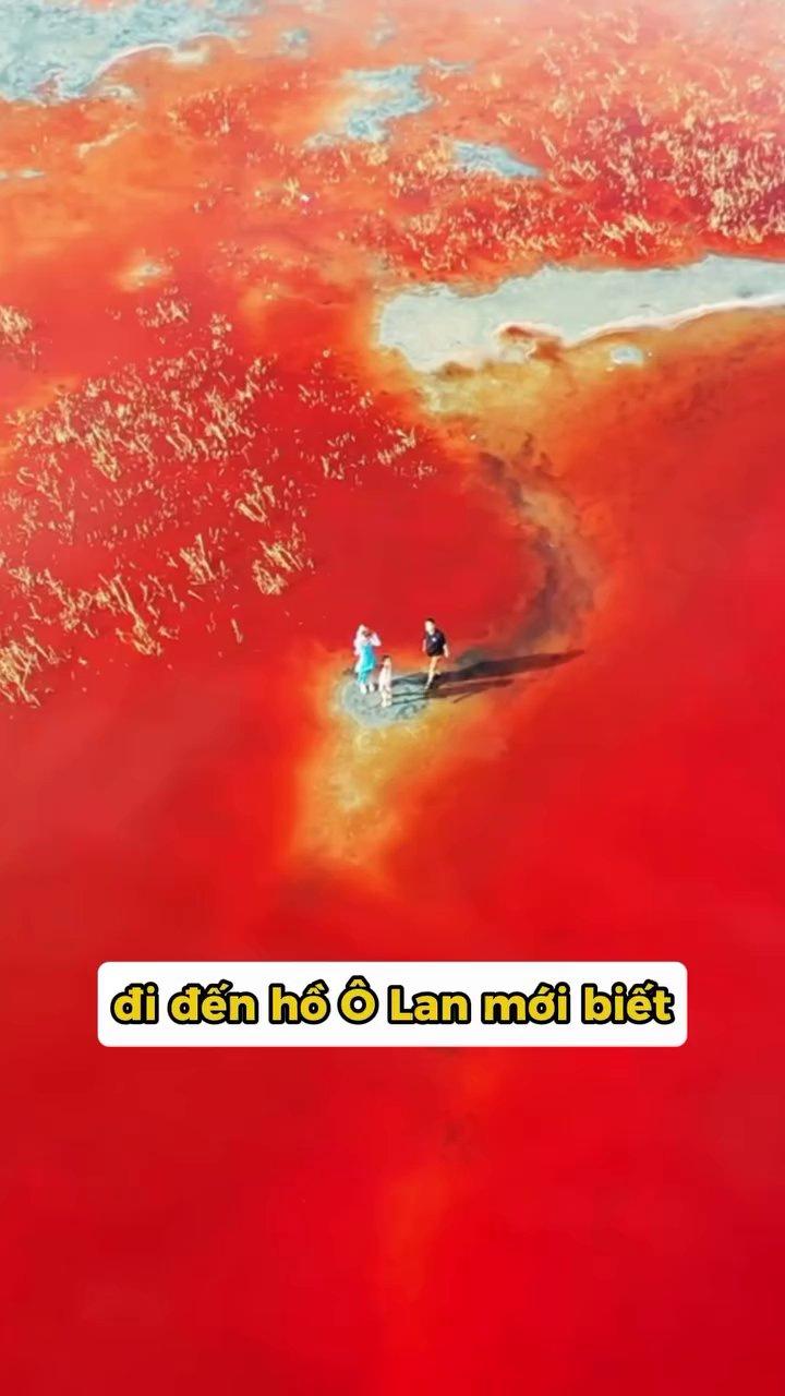 Cảnh quan thảo nguyên xanh bát ngát tại Tăng Cương, với những đàn gia súc thong dong gặm cỏ.