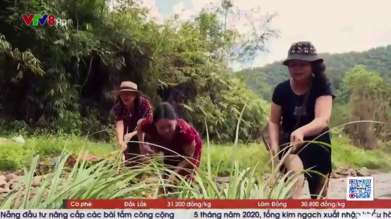 Khung cảnh thiên nhiên thanh bình và nguyên sơ tại các bản làng vùng cao Tây Giang.