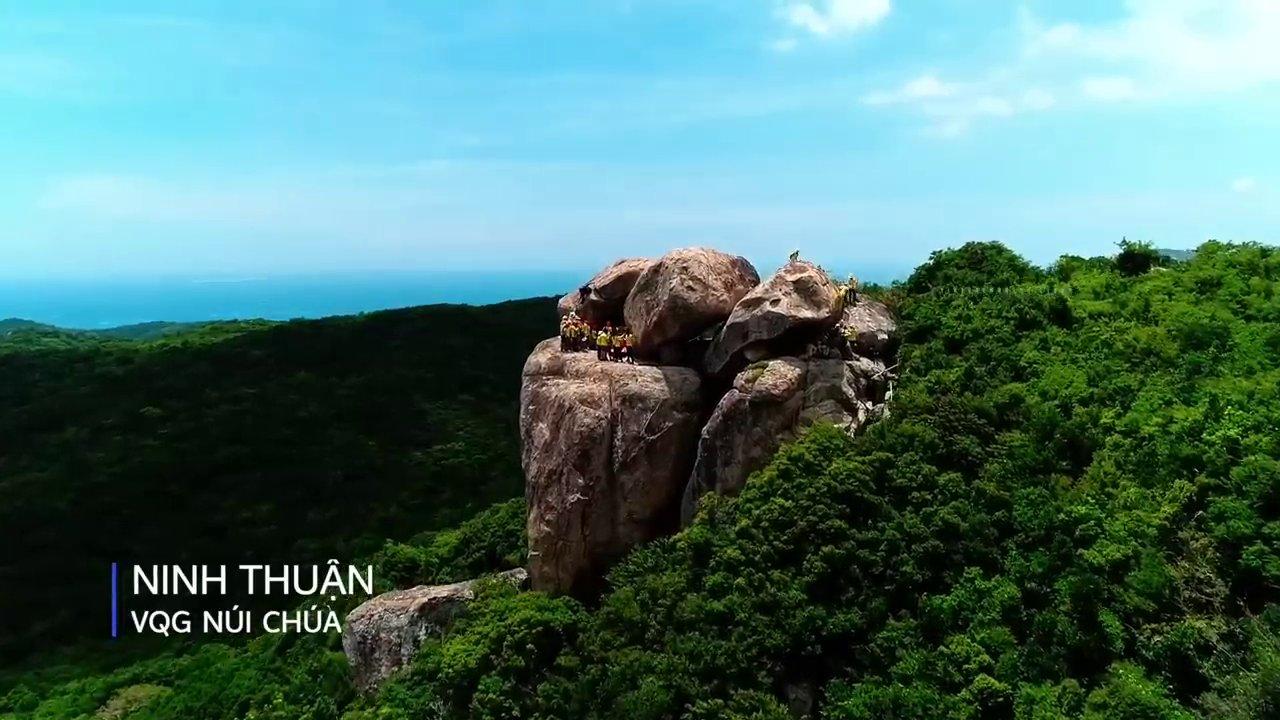 Toàn cảnh khu di tích Huế bên bờ sông Hương, với kiến trúc cổ kính ẩn hiện trong màu xanh của cây cối.