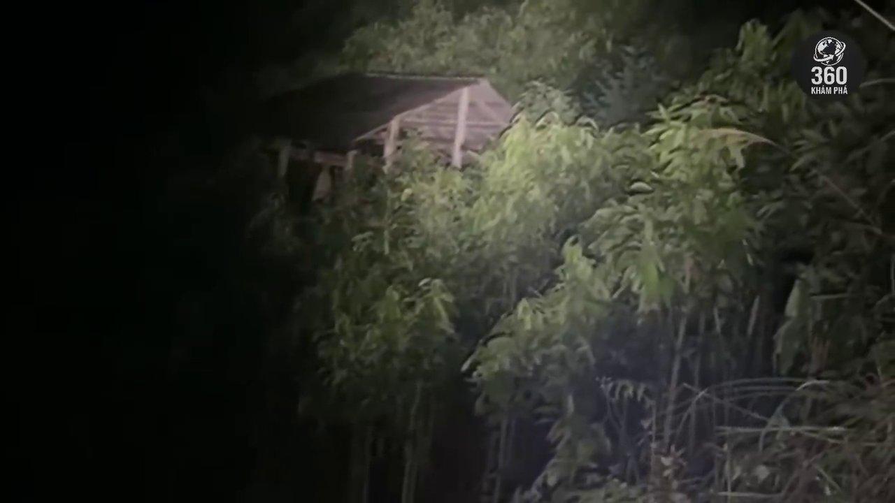 Quang cảnh hoang phế của làng Đại Lợi - ngôi làng bị bỏ hoang vì lời nguyền.