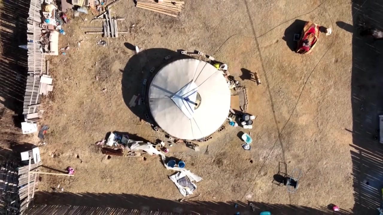 Đàn sói xám Mông Cổ săn mồi theo đàn với chiến thuật tinh vi.