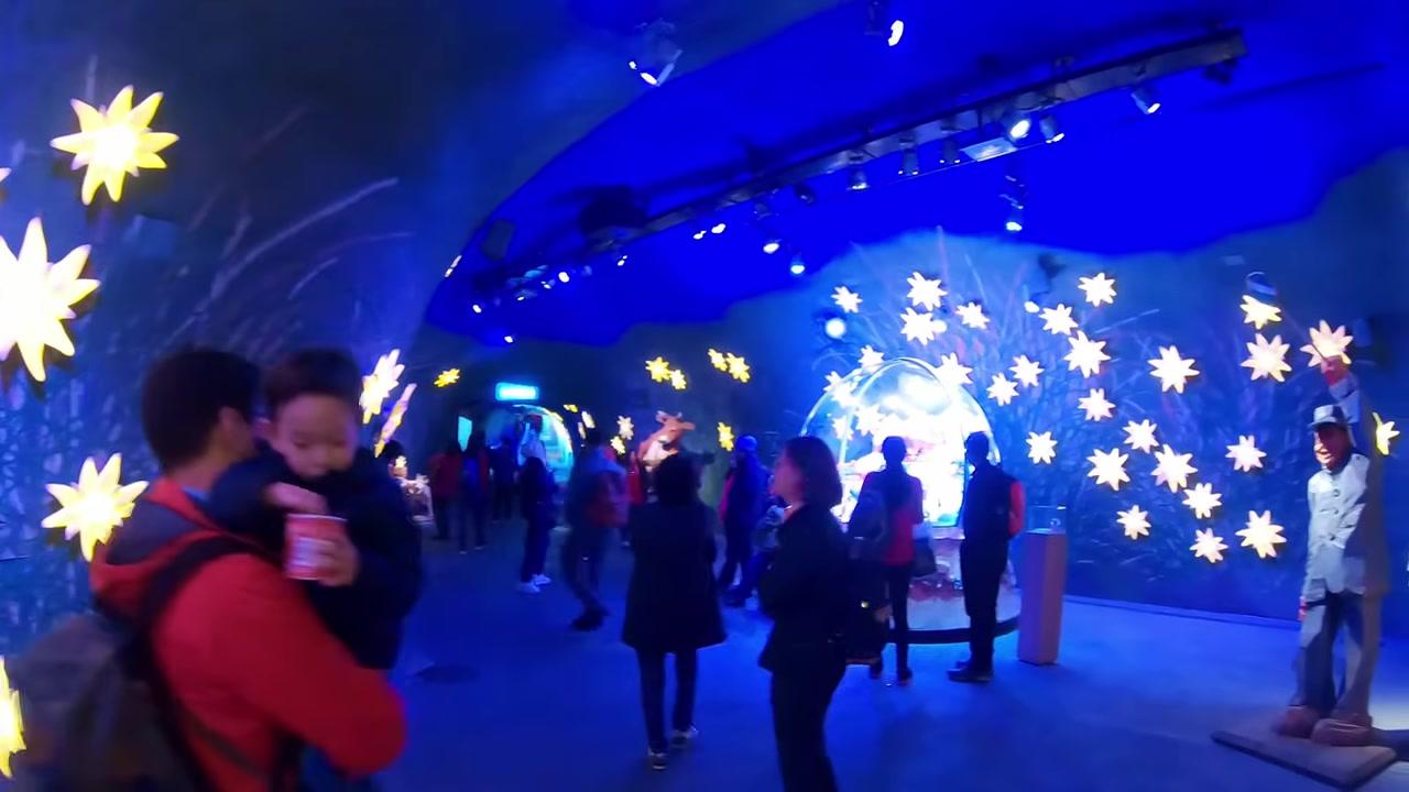 Toàn cảnh sông băng Aletsch hùng vĩ nhìn từ đỉnh Jungfraujoch.