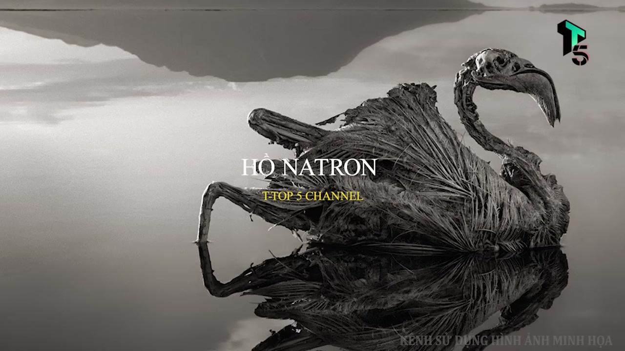 Hàng triệu con chim hồng hạc tạo thành một dải hồng rực rỡ trên bề mặt hồ nước kiềm màu trắng đục.