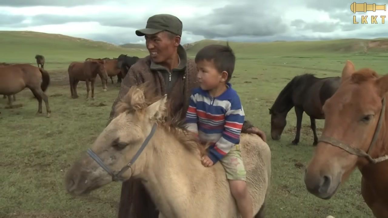 Hình ảnh người du mục cưỡi ngựa phi nước đại trên thảo nguyên tuyết trắng, biểu tượng của sự tự do và thuần phục thiên nhiên.