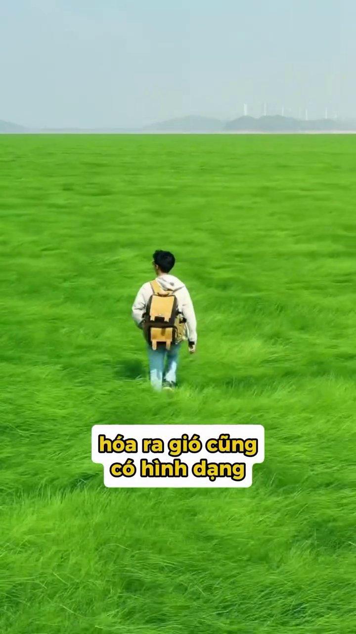Hiệu ứng gió thổi tạo hình trên bề mặt cát hoặc nước tại khu vực Hồ Bà Dư.