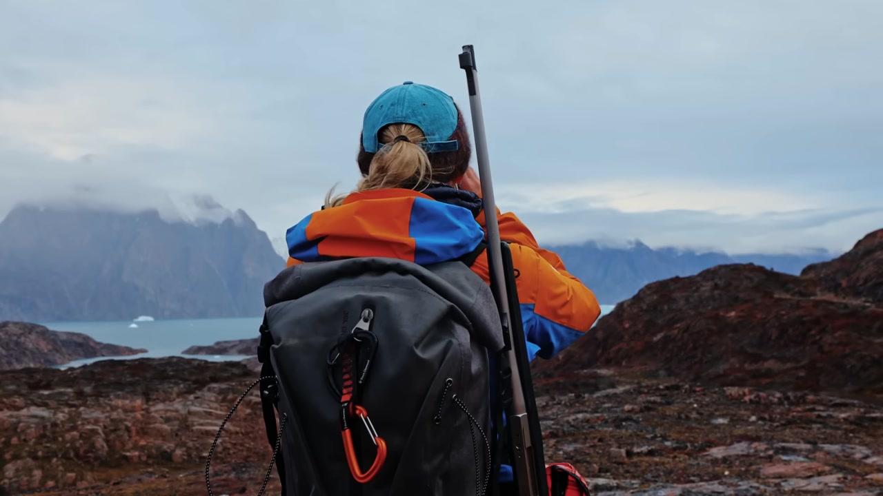 Một đàn bò xạ hương (muskox) đang gặm cỏ trên thảo nguyên Bắc Cực, với bối cảnh là những ngọn núi phủ tuyết.