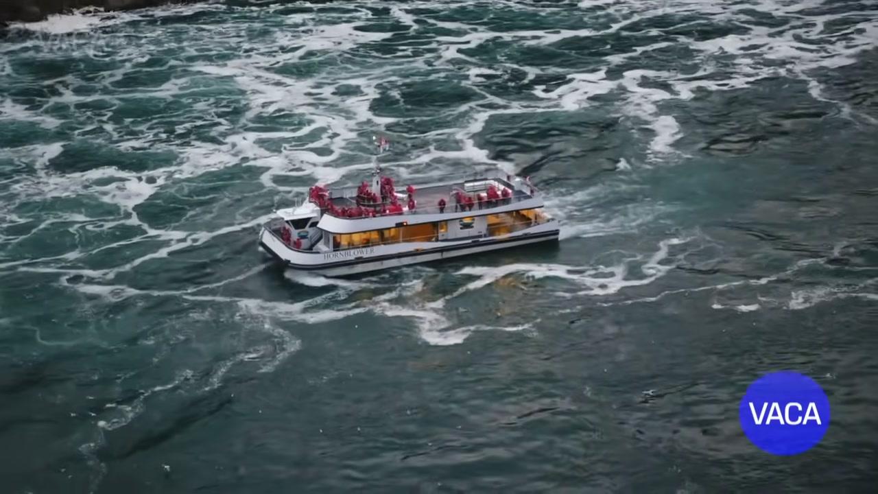 Người dân Canada thân thiện trong một lễ hội đường phố.